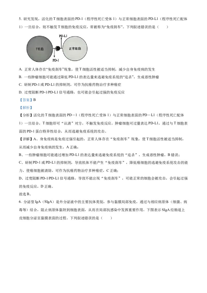 福建省厦门市2024-2025学年高二上学期期末考试生物试题Word版含解析_2024-2025高二（7-7月题库）_2025年03月试卷_0310福建省厦门市2024-2025学年高二上学期期末考试