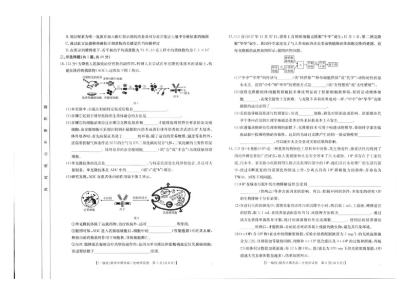 福建省龙岩市一级校联盟2024-2025学年高二下学期4月期中考试生物PDF版含答案_2024-2025高二（7-7月题库）_2025年05月试卷_0530福建省龙岩市一级校联盟2024-2025学年高二下学期4月期中考试