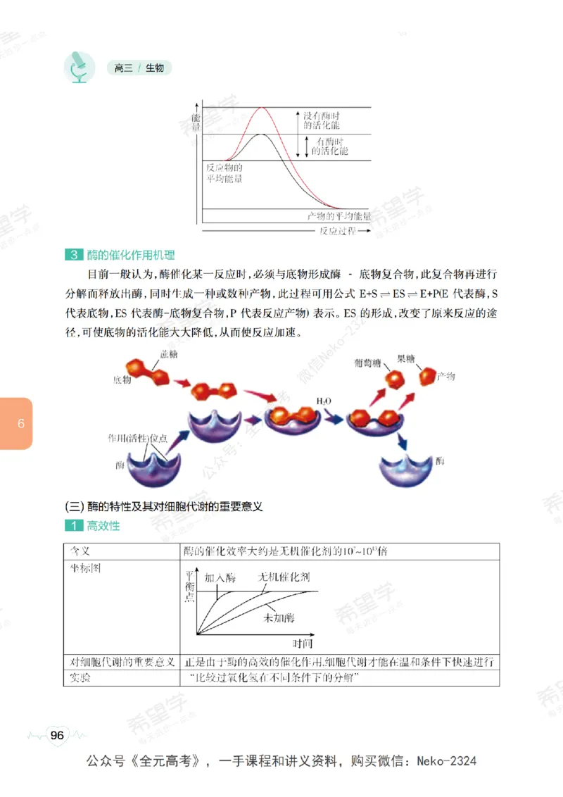 高三生物培训班学习用书（秋季第一册-全国版-S）-正文_2024-2025高三（6-6月题库）_2024年09月试卷_段麟飞