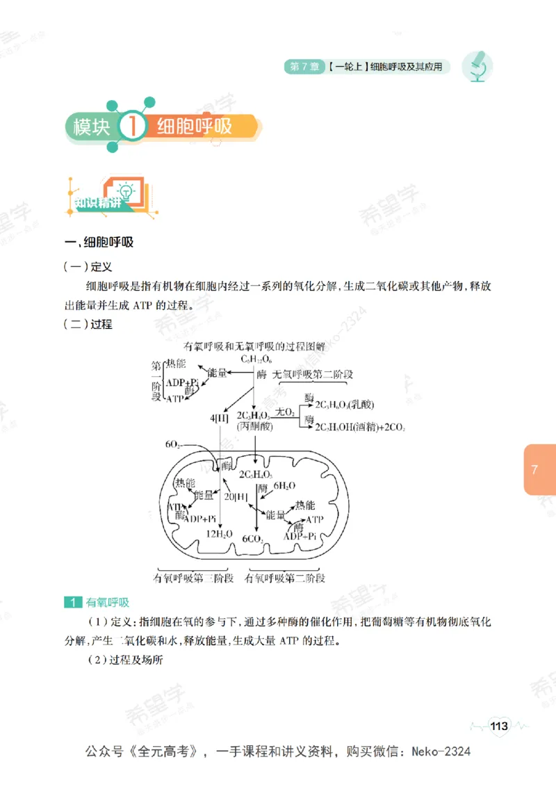 高三生物培训班学习用书（秋季第一册-全国版-S）-正文_2024-2025高三（6-6月题库）_2024年09月试卷_段麟飞