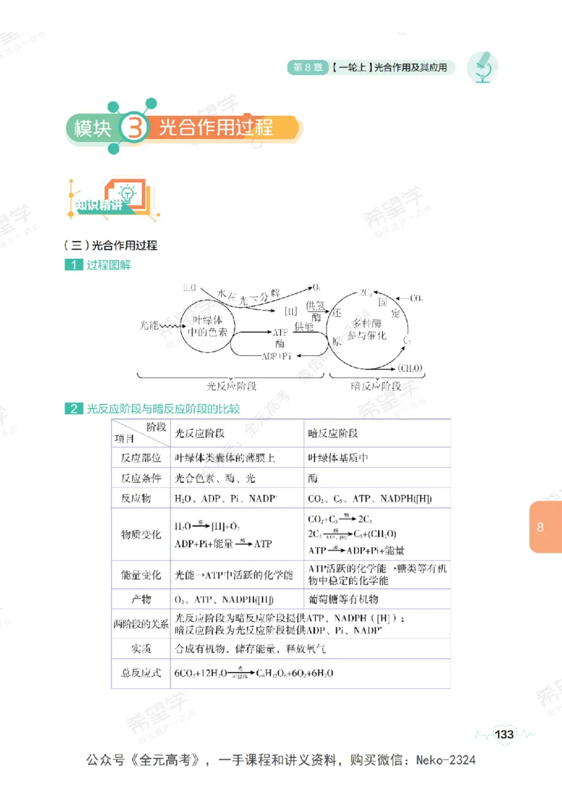 高三生物培训班学习用书（秋季第一册-全国版-S）-正文_2024-2025高三（6-6月题库）_2024年09月试卷_段麟飞