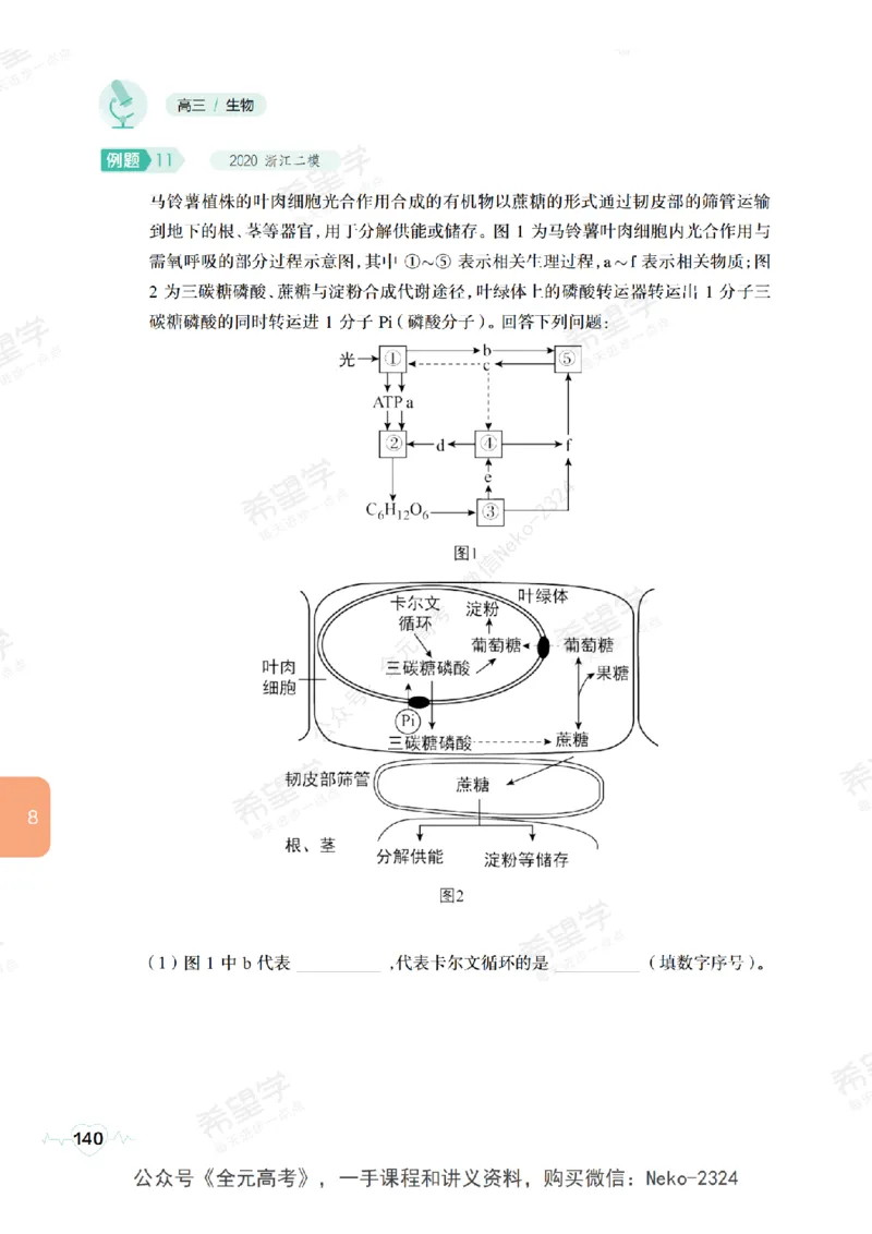 高三生物培训班学习用书（秋季第一册-全国版-S）-正文_2024-2025高三（6-6月题库）_2024年09月试卷_段麟飞
