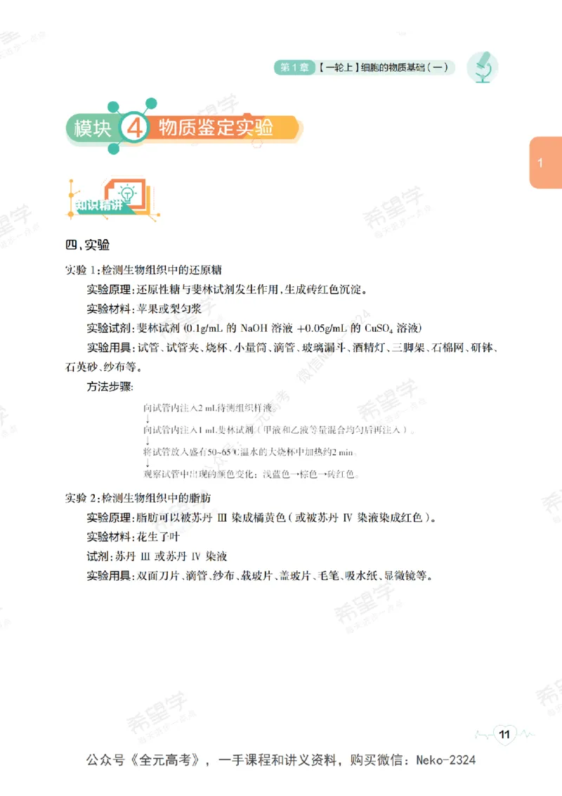 高三生物培训班学习用书（秋季第一册-全国版-S）-正文_2024-2025高三（6-6月题库）_2024年09月试卷_段麟飞