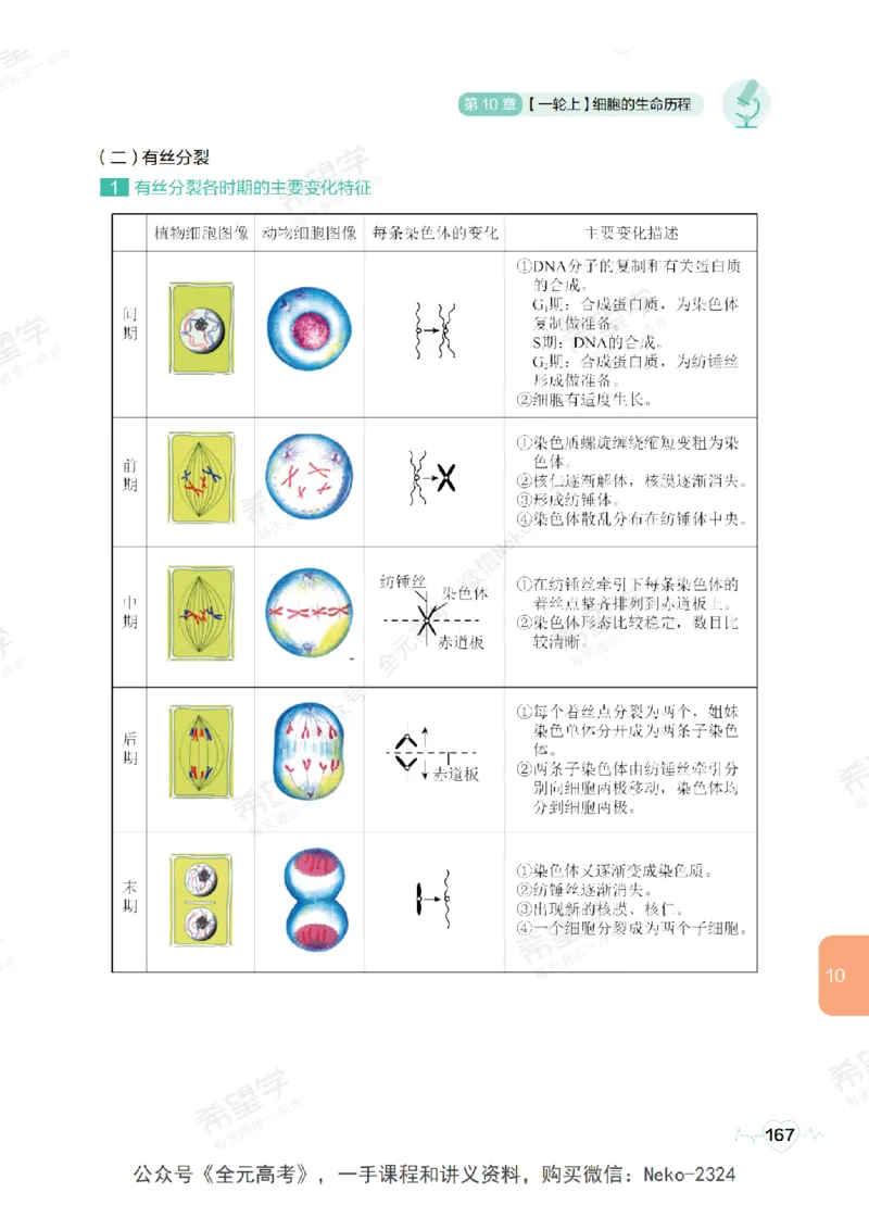 高三生物培训班学习用书（秋季第一册-全国版-S）-正文_2024-2025高三（6-6月题库）_2024年09月试卷_段麟飞