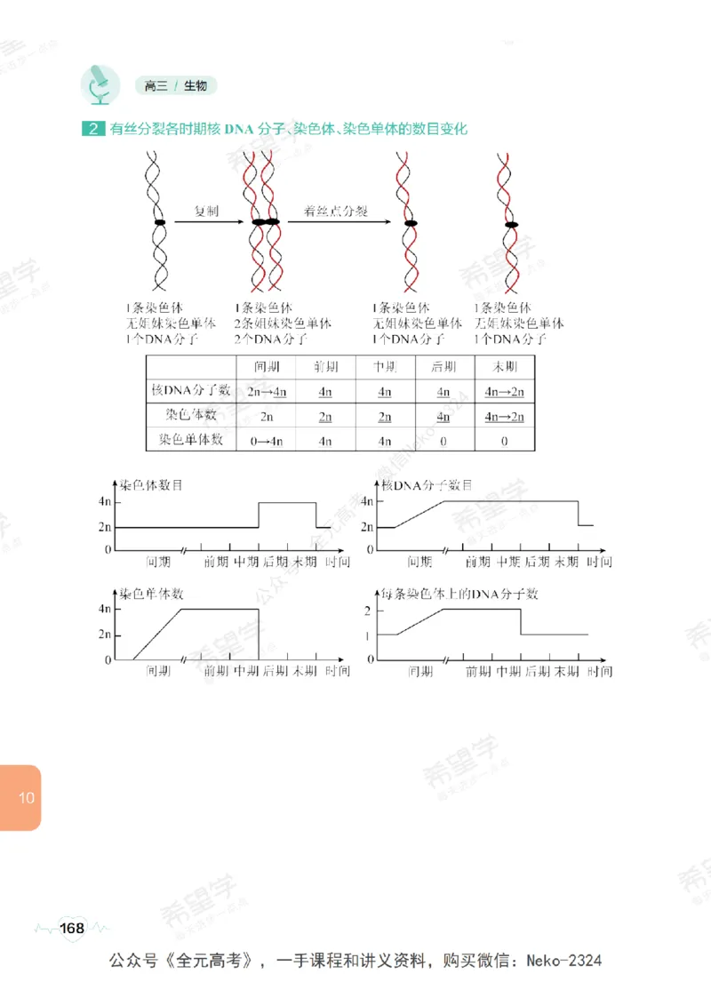 高三生物培训班学习用书（秋季第一册-全国版-S）-正文_2024-2025高三（6-6月题库）_2024年09月试卷_段麟飞