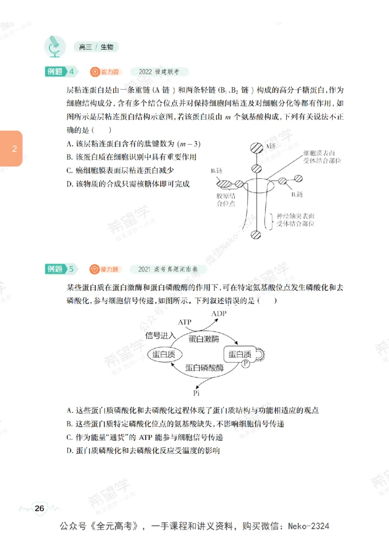 高三生物培训班学习用书（秋季第一册-全国版-S）-正文_2024-2025高三（6-6月题库）_2024年09月试卷_段麟飞