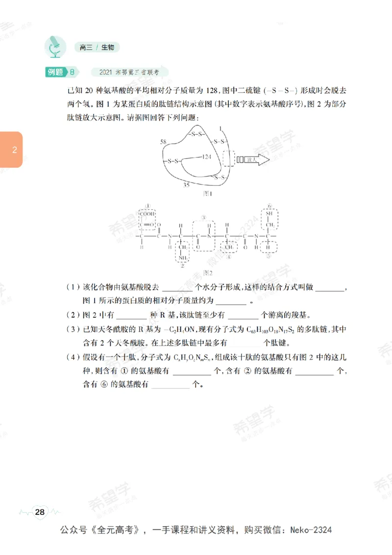 高三生物培训班学习用书（秋季第一册-全国版-S）-正文_2024-2025高三（6-6月题库）_2024年09月试卷_段麟飞