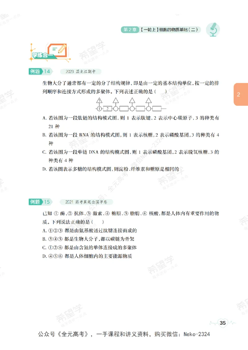 高三生物培训班学习用书（秋季第一册-全国版-S）-正文_2024-2025高三（6-6月题库）_2024年09月试卷_段麟飞