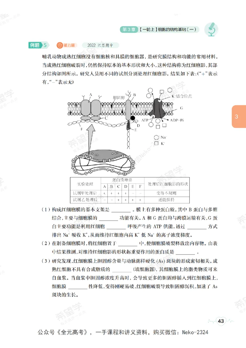 高三生物培训班学习用书（秋季第一册-全国版-S）-正文_2024-2025高三（6-6月题库）_2024年09月试卷_段麟飞