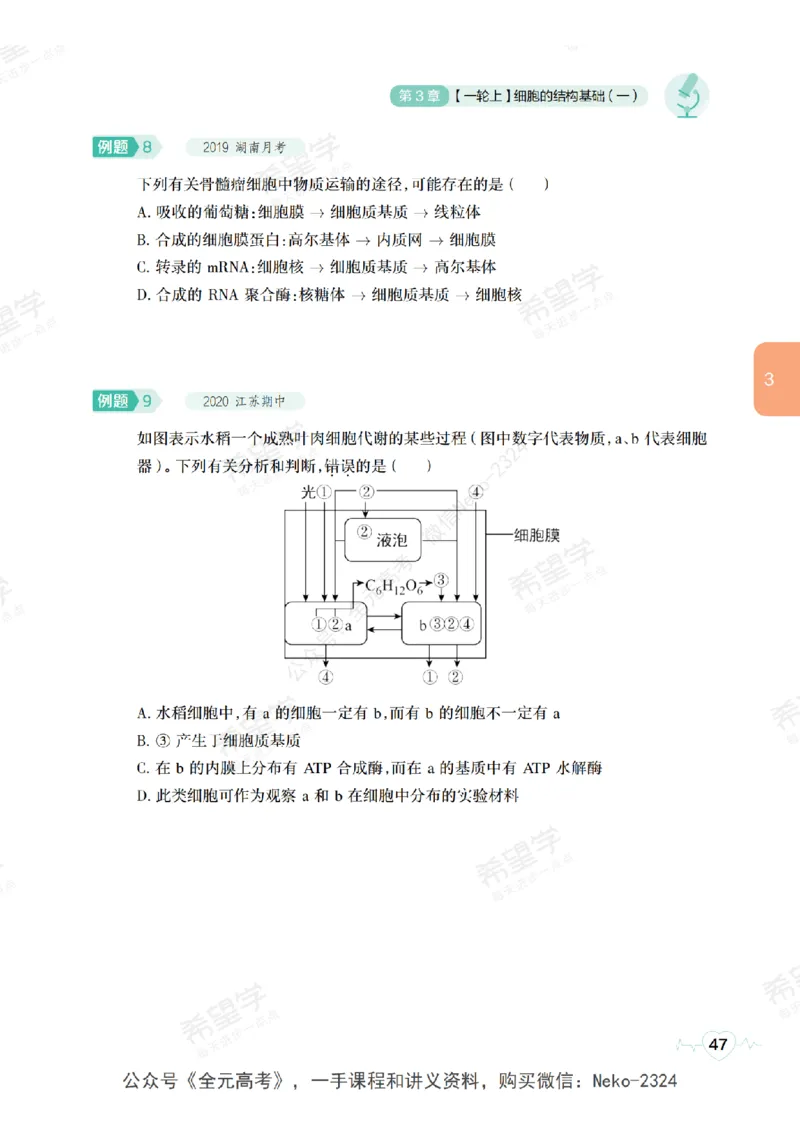 高三生物培训班学习用书（秋季第一册-全国版-S）-正文_2024-2025高三（6-6月题库）_2024年09月试卷_段麟飞