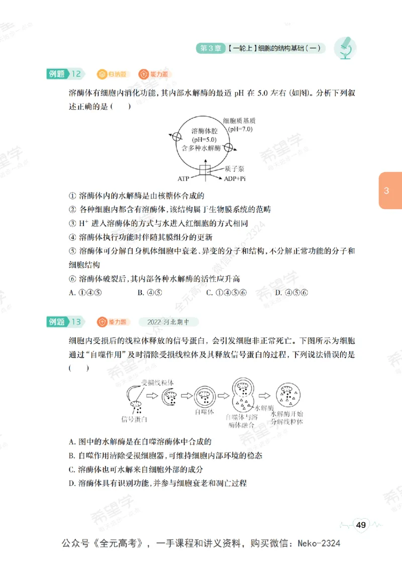 高三生物培训班学习用书（秋季第一册-全国版-S）-正文_2024-2025高三（6-6月题库）_2024年09月试卷_段麟飞