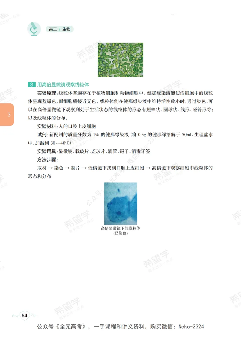 高三生物培训班学习用书（秋季第一册-全国版-S）-正文_2024-2025高三（6-6月题库）_2024年09月试卷_段麟飞