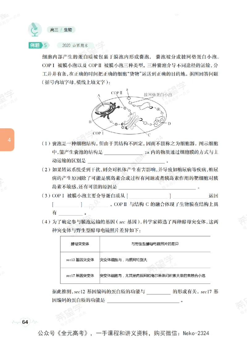 高三生物培训班学习用书（秋季第一册-全国版-S）-正文_2024-2025高三（6-6月题库）_2024年09月试卷_段麟飞
