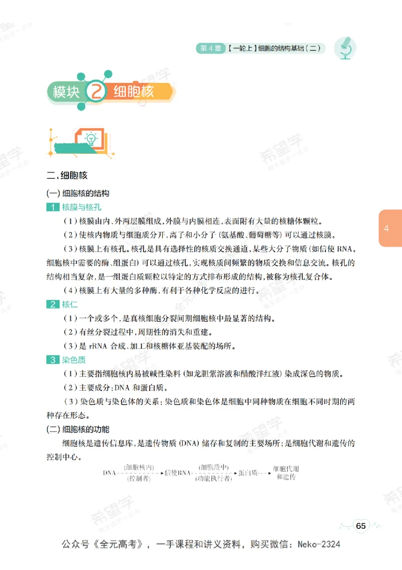 高三生物培训班学习用书（秋季第一册-全国版-S）-正文_2024-2025高三（6-6月题库）_2024年09月试卷_段麟飞