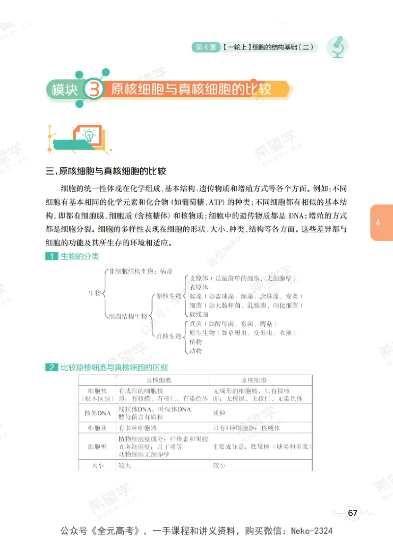 高三生物培训班学习用书（秋季第一册-全国版-S）-正文_2024-2025高三（6-6月题库）_2024年09月试卷_段麟飞