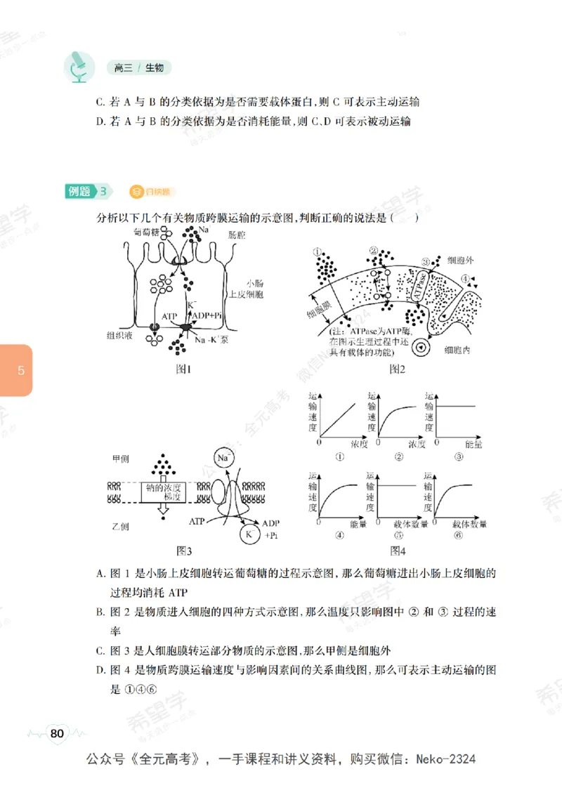 高三生物培训班学习用书（秋季第一册-全国版-S）-正文_2024-2025高三（6-6月题库）_2024年09月试卷_段麟飞
