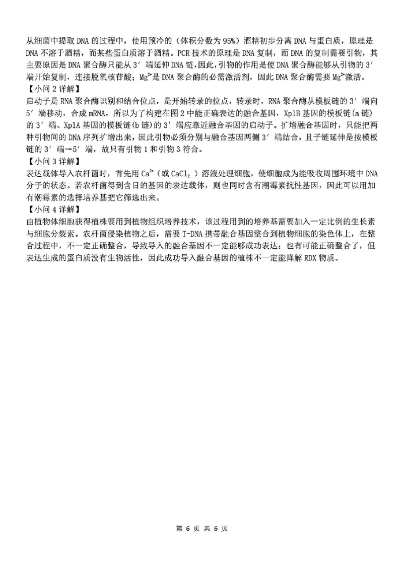 生物答案_2024-2025高三（6-6月题库）_2024年12月试卷_1206广西新课程教研联盟2025届高三毕业班11月联考_广西新课程教研联盟2025届高三毕业班11月联考生物