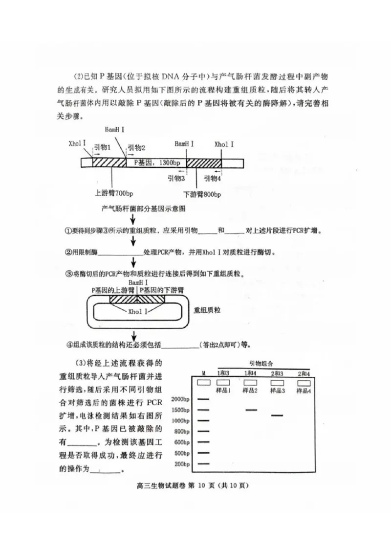 河南省郑州市2024-2025学年高三下学期第三次质量预测生物_2024-2025高三（6-6月题库）_2025年05月试卷_0509河南省郑州市2024-2025学年高三下学期第三次质量预测（郑州三模）（全科）