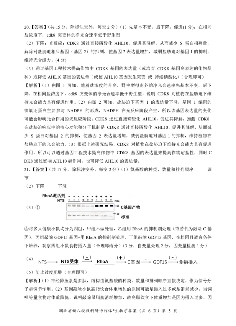 生物答案_2024-2025高三（6-6月题库）_2025年05月试卷_05072025年湖北省新八校协作体高三5月联考（全科）