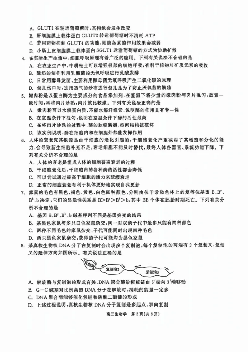 生物试卷_2024-2025高三（6-6月题库）_2024年11月试卷_1109辽宁省点石联考（辽宁县级协作体）2024-2025学年度上学期2025届高三年级期中考试