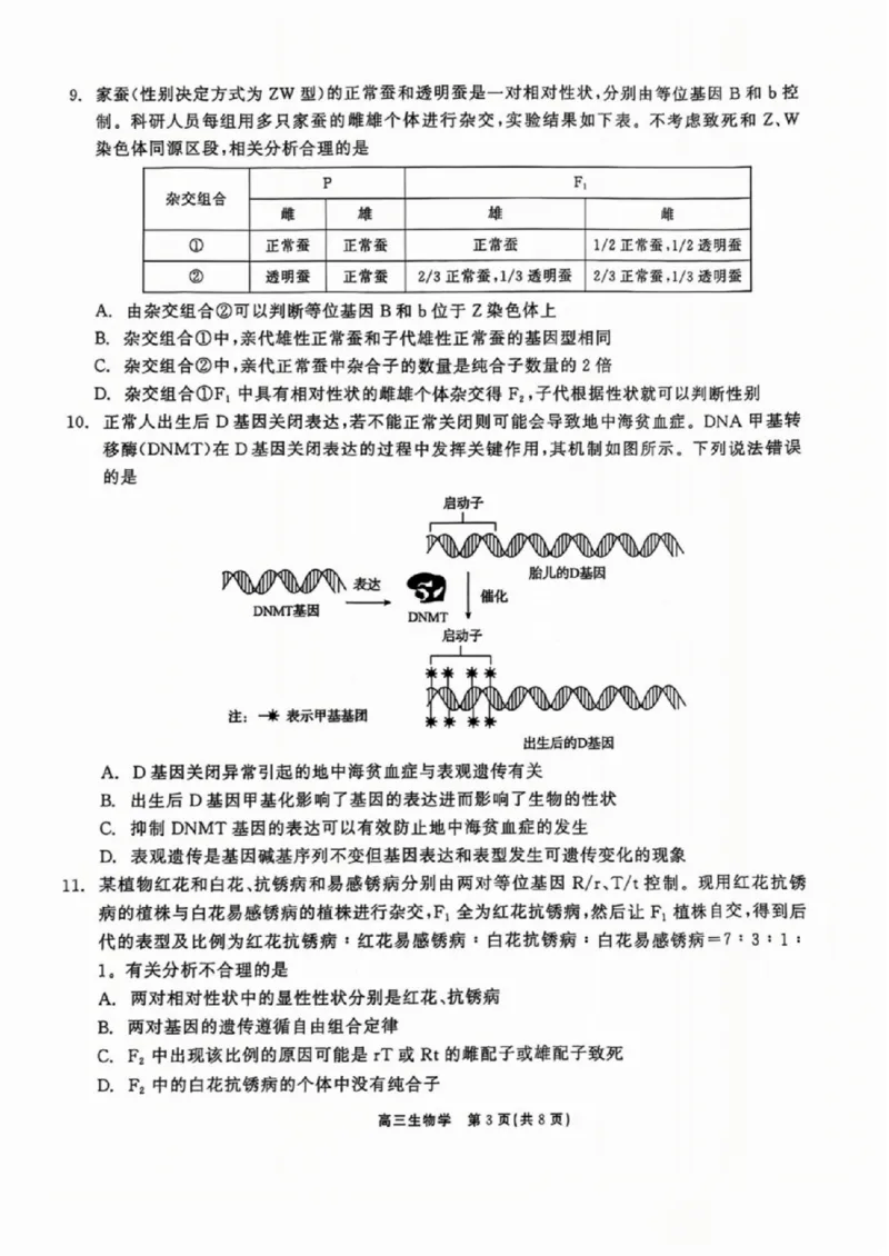 生物试卷_2024-2025高三（6-6月题库）_2024年11月试卷_1109辽宁省点石联考（辽宁县级协作体）2024-2025学年度上学期2025届高三年级期中考试