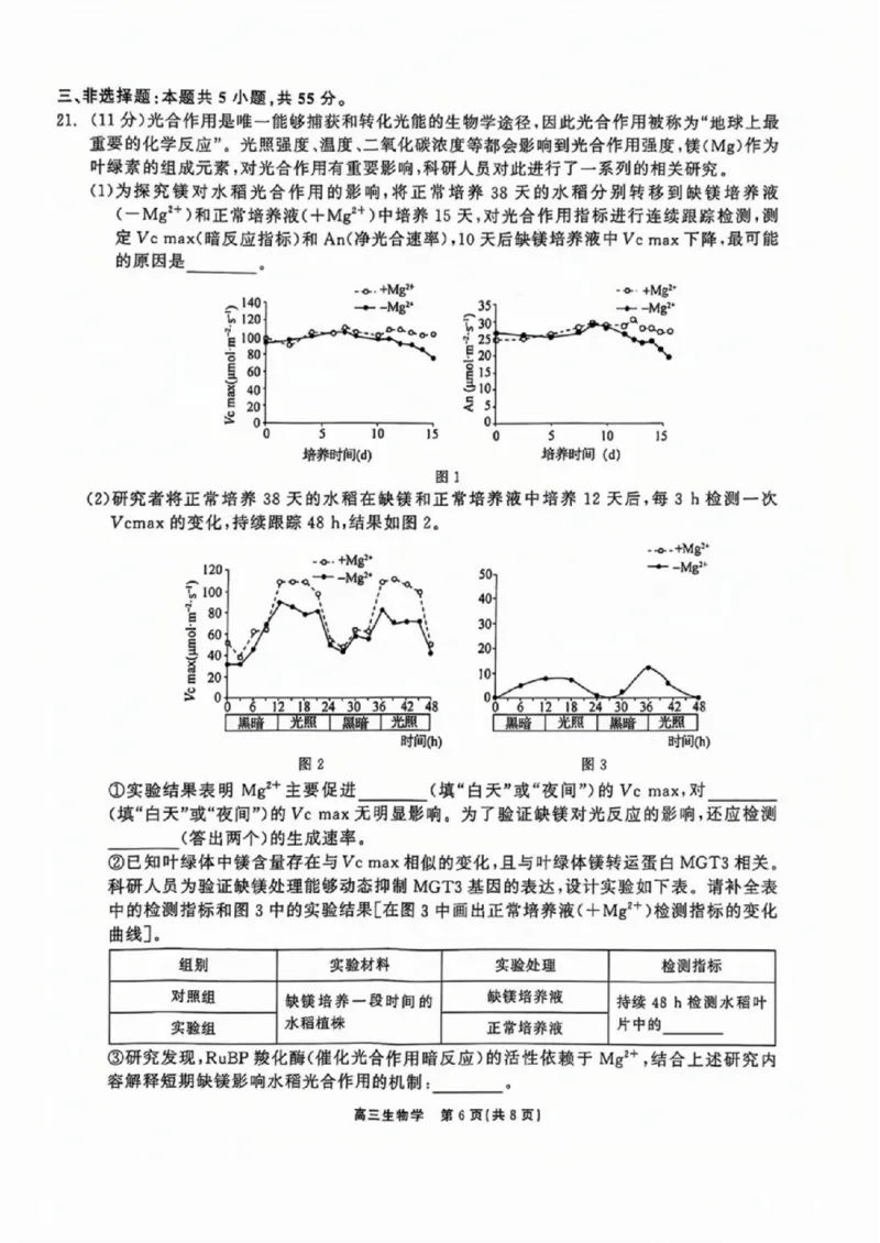 生物试卷_2024-2025高三（6-6月题库）_2024年11月试卷_1109辽宁省点石联考（辽宁县级协作体）2024-2025学年度上学期2025届高三年级期中考试