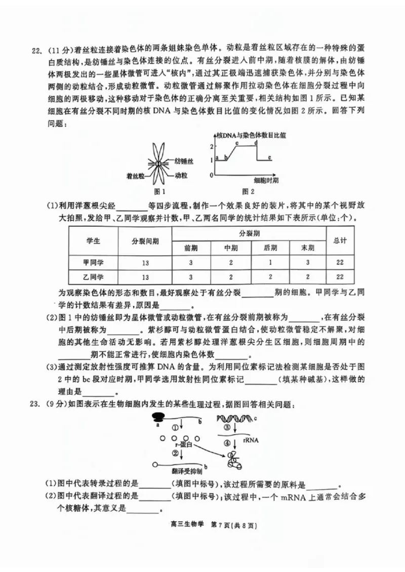 生物试卷_2024-2025高三（6-6月题库）_2024年11月试卷_1109辽宁省点石联考（辽宁县级协作体）2024-2025学年度上学期2025届高三年级期中考试