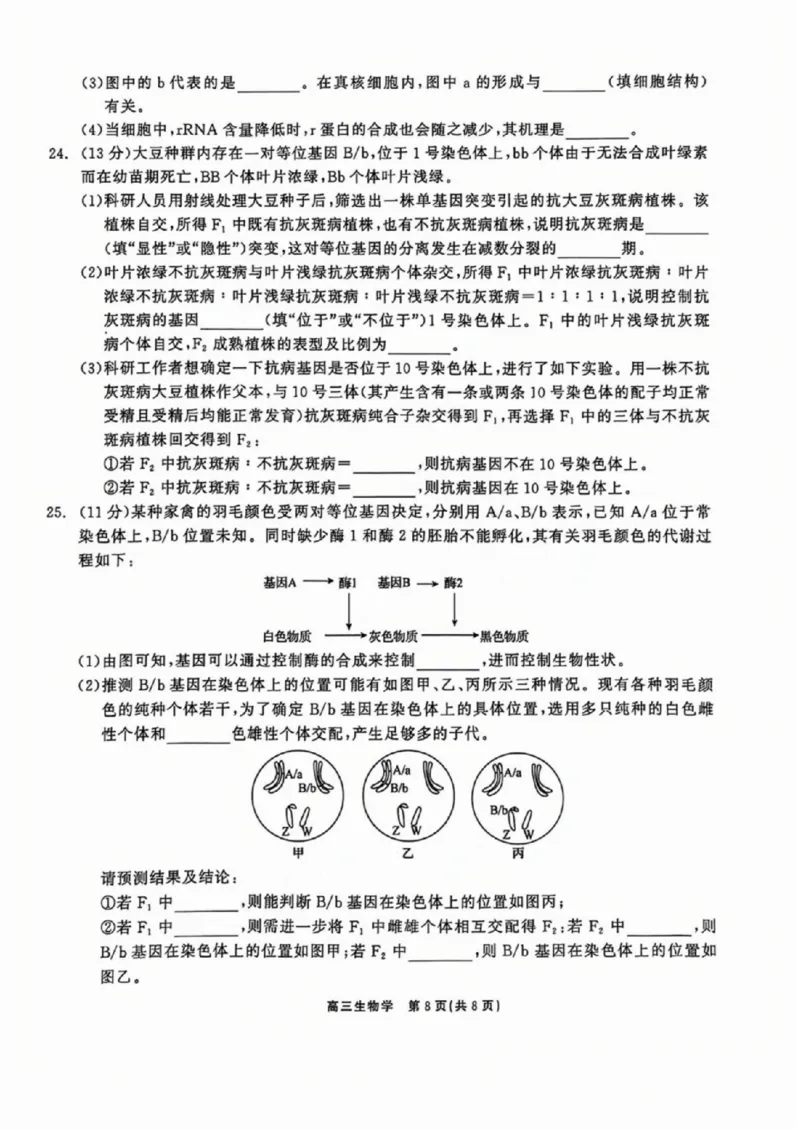 生物试卷_2024-2025高三（6-6月题库）_2024年11月试卷_1109辽宁省点石联考（辽宁县级协作体）2024-2025学年度上学期2025届高三年级期中考试