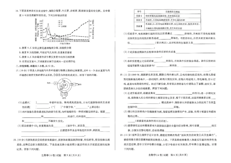 生物试题_2024-2025高二（7-7月题库）_2024年11月试卷_1122天一大联考河南省2024-2025学年高二上学期11月期中_河南省部分学校大联考2024-2025学年高二上学期11月期中生物试题含答案