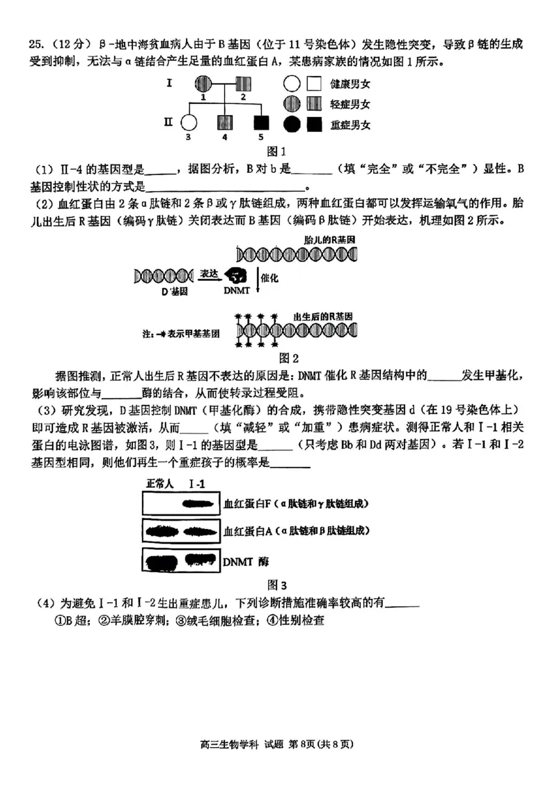 浙江省北斗星盟2024-2025学年高三上学期12月月考生物试卷及答案_2024-2025高三（6-6月题库）_2024年12月试卷_1230浙江省北斗星盟2024-2025学年高三上学期12月月考（全科）