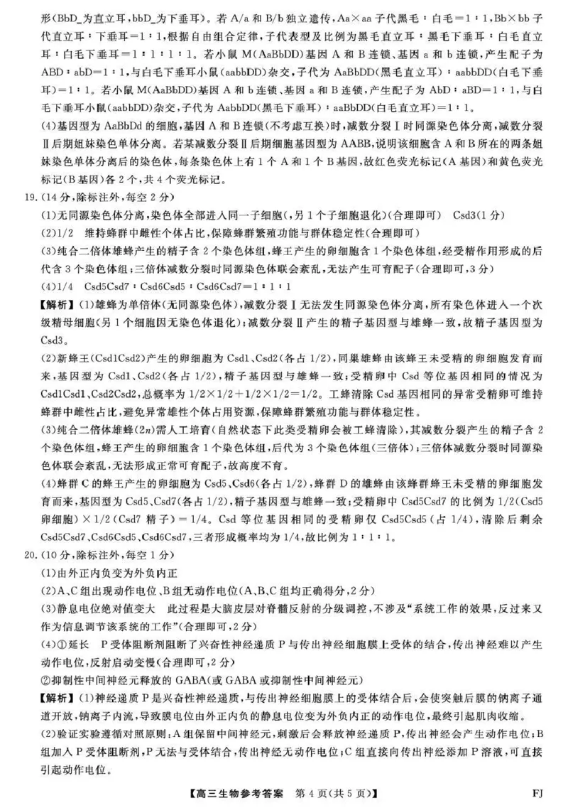 福建省百校2026届高三上学期12月联合测评生物答案_2024-2026高三（6-6月题库）_2025年12月高三试卷_251229福建省百校2026届高三上学期12月联合测评（全）