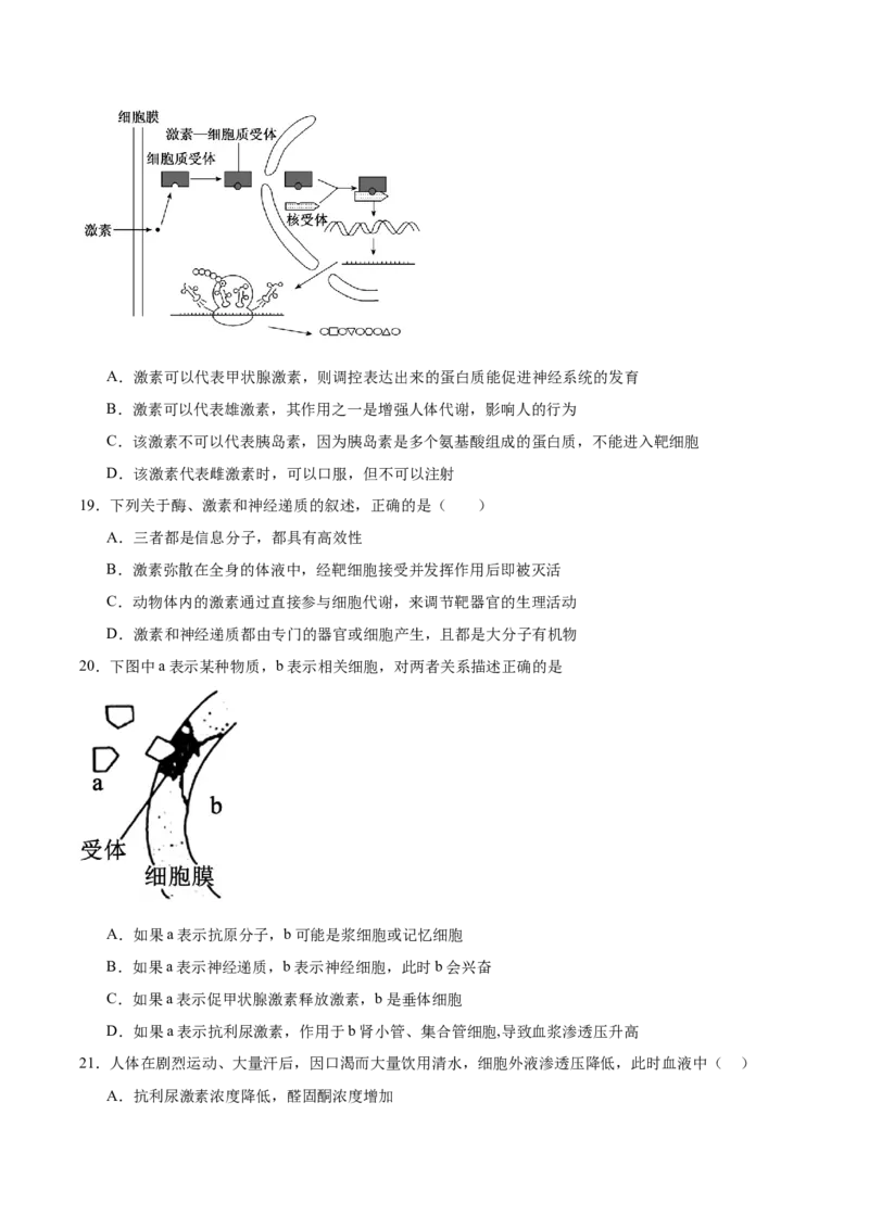 河南省南阳市第一中学2025-2026学年高二上学期10月第二次月考试题生物Word版含答案_2025年11月高二试卷_251103河南省南阳市第一中学2025-2026学年高二上学期10月第二次月考试题（全）