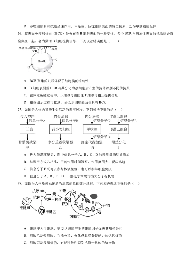河南省南阳市第一中学2025-2026学年高二上学期10月第二次月考试题生物Word版含答案_2025年11月高二试卷_251103河南省南阳市第一中学2025-2026学年高二上学期10月第二次月考试题（全）