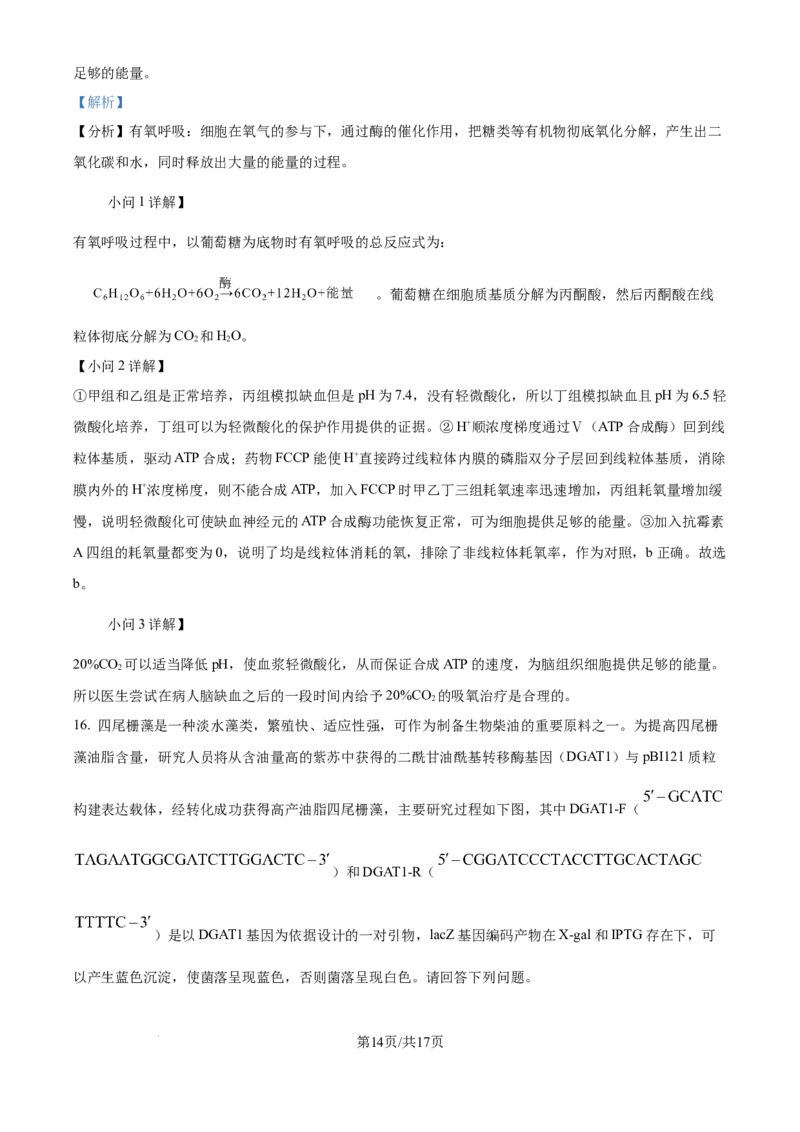 精品解析：天津市滨海新区塘沽第一中学2024-2025学年高三上学期第二次月考生物试题（解析版）_2024-2025高三（6-6月题库）_2024年12月试卷