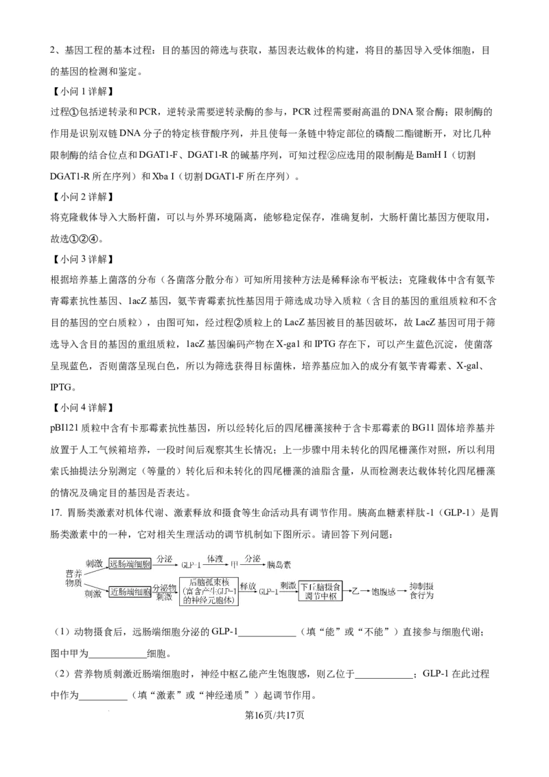 精品解析：天津市滨海新区塘沽第一中学2024-2025学年高三上学期第二次月考生物试题（解析版）_2024-2025高三（6-6月题库）_2024年12月试卷