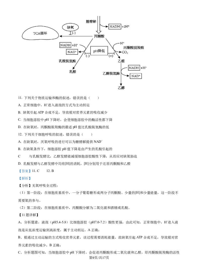 精品解析：天津市滨海新区塘沽第一中学2024-2025学年高三上学期第二次月考生物试题（解析版）_2024-2025高三（6-6月题库）_2024年12月试卷
