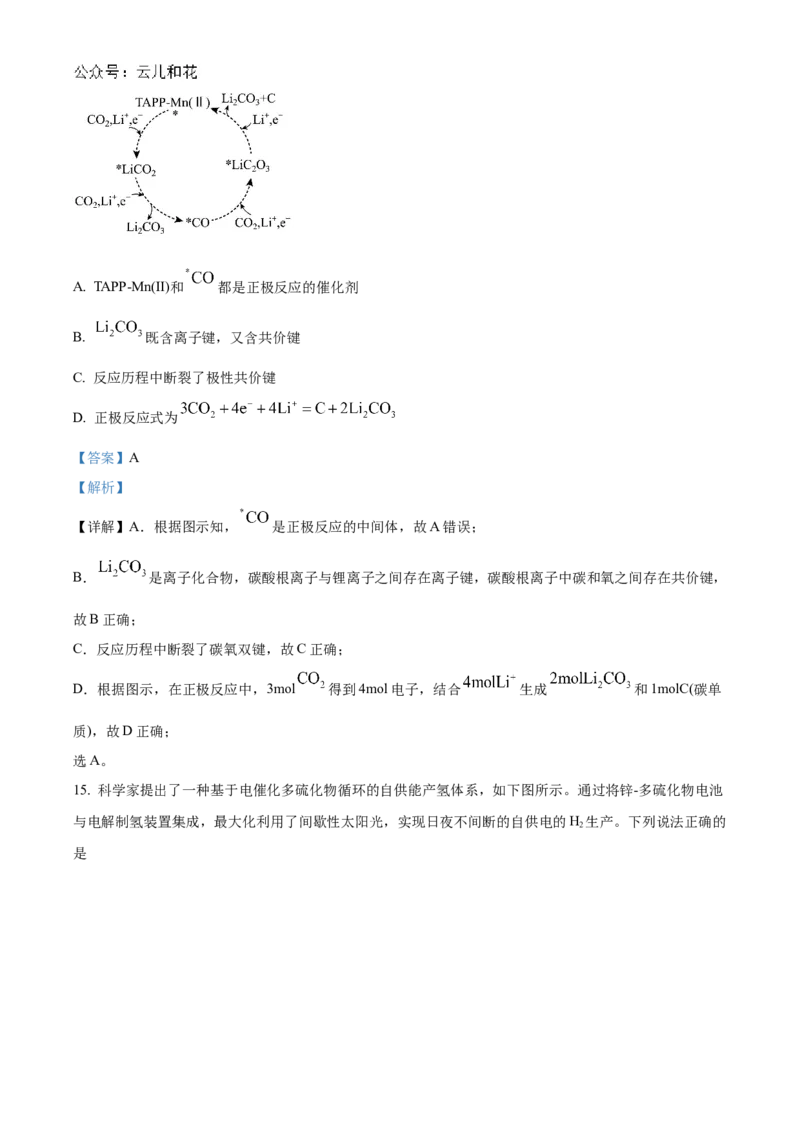 福建省福州市福九联盟2024-2025学年高二上学期11月期中联考化学试题Word版含解析_2024-2025高二（7-7月题库）_2024年12月试卷