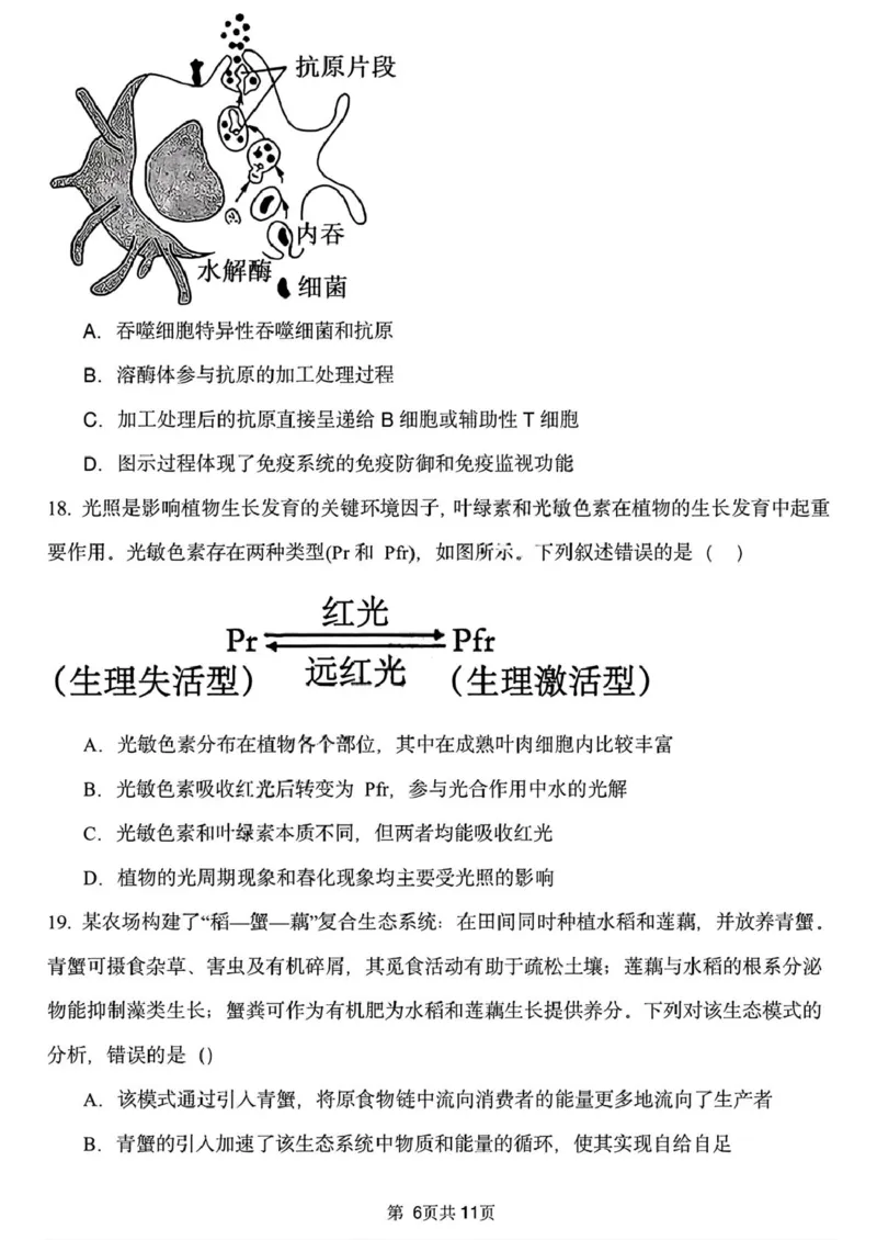 黑龙江省哈尔滨市德强高级中学2025-2026学年高二上学期期末考试生物试题（Ⅱ卷）（图片版，含答案）_2024-2025高二（7-7月题库）_2026年1月高二