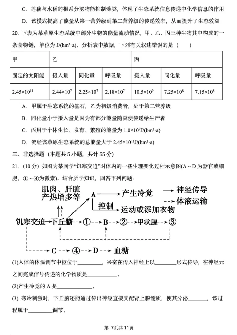 黑龙江省哈尔滨市德强高级中学2025-2026学年高二上学期期末考试生物试题（Ⅱ卷）（图片版，含答案）_2024-2025高二（7-7月题库）_2026年1月高二