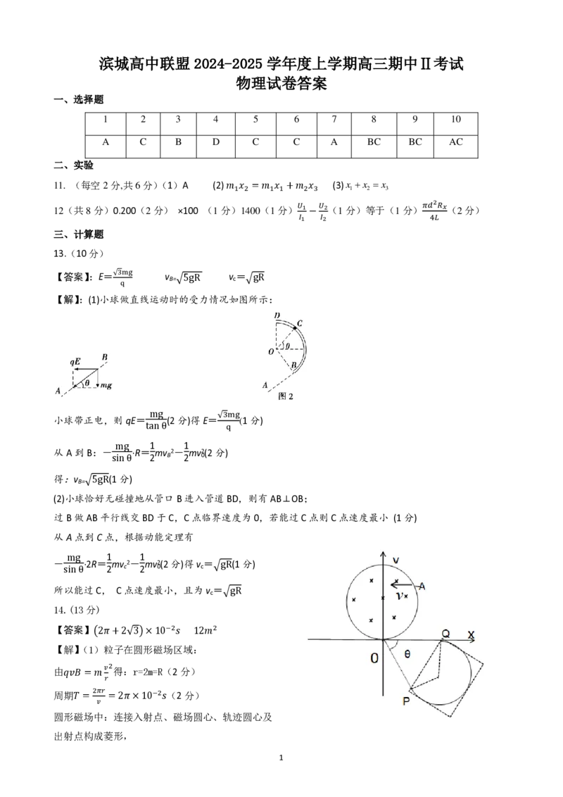 物理（参考答案）2024.11.28(1)_2024-2025高三（6-6月题库）_2024年12月试卷_1206辽宁省大连市滨城高中联盟2024-2025学年高三上学期期中Ⅱ