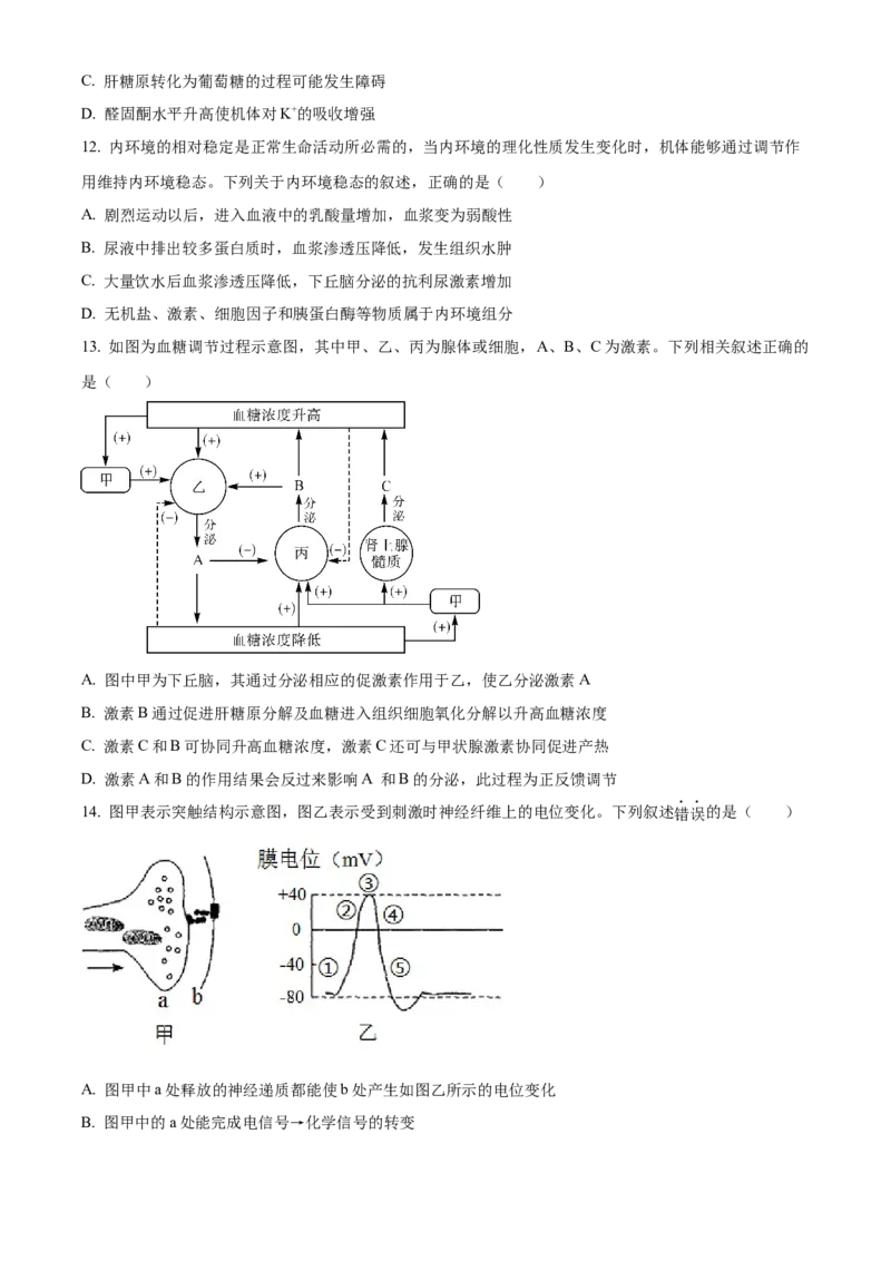 湖北省部分高中联考2025-2026学年高二上学期11月期中生物试题（原卷版）_251205湖北省部分高中联考2025-2026学年高二上学期11月期中