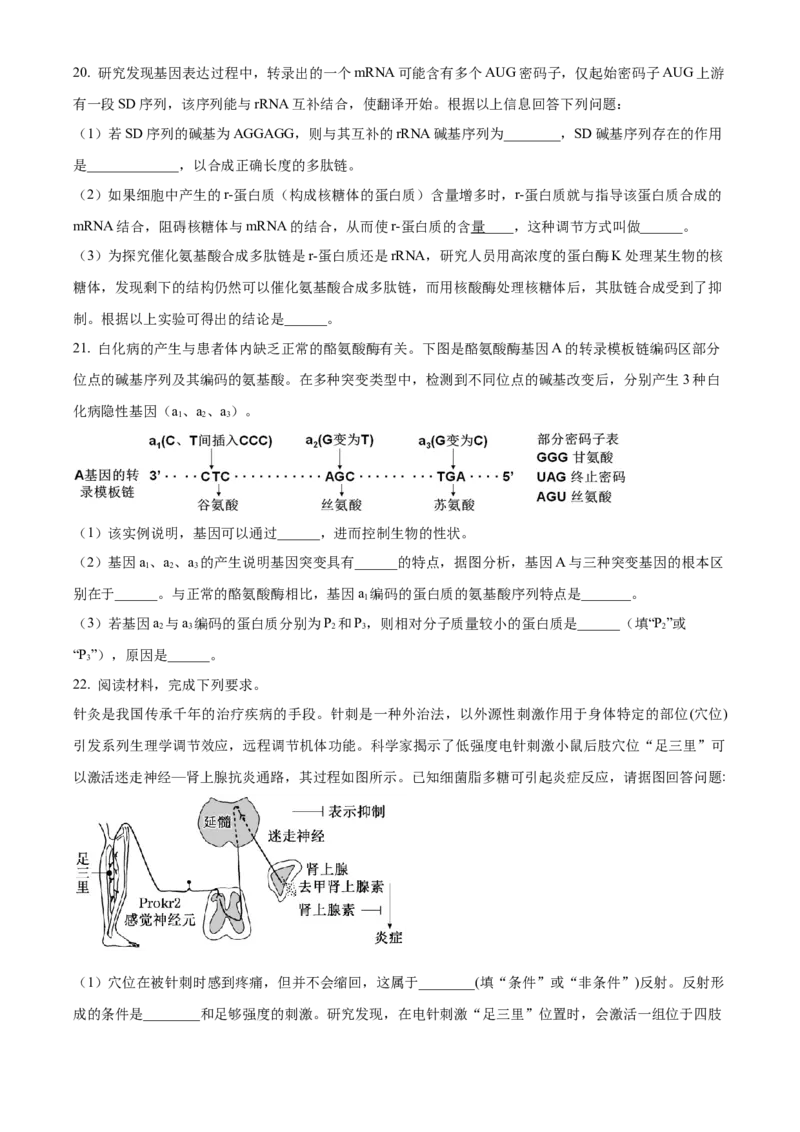 湖北省部分高中联考2025-2026学年高二上学期11月期中生物试题（原卷版）_251205湖北省部分高中联考2025-2026学年高二上学期11月期中