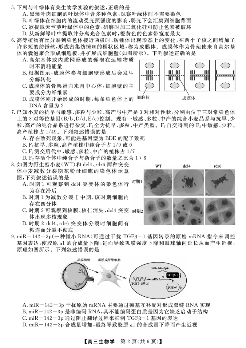金科新未来11月18-19日高三联考-生物_2024-2025高三（6-6月题库）_2024年11月试卷_1121河南省金科新未来大联考2024-2025学年高三上学期11月质量检测