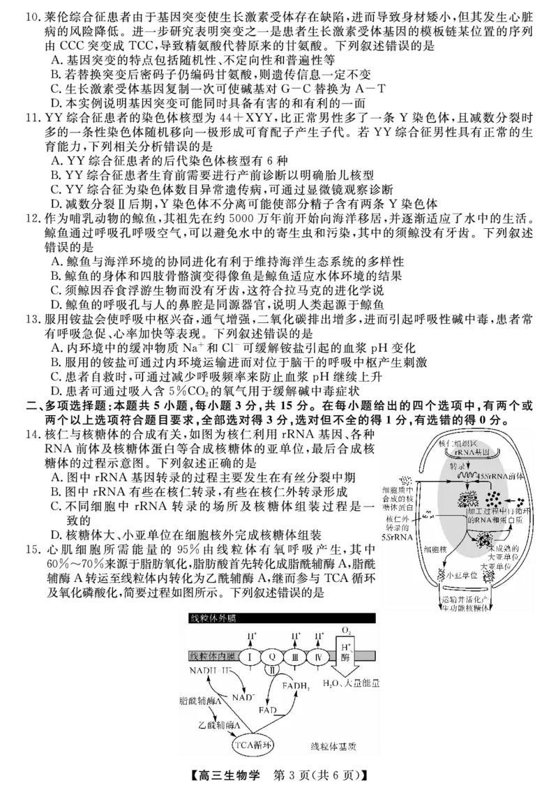 金科新未来11月18-19日高三联考-生物_2024-2025高三（6-6月题库）_2024年11月试卷_1121河南省金科新未来大联考2024-2025学年高三上学期11月质量检测