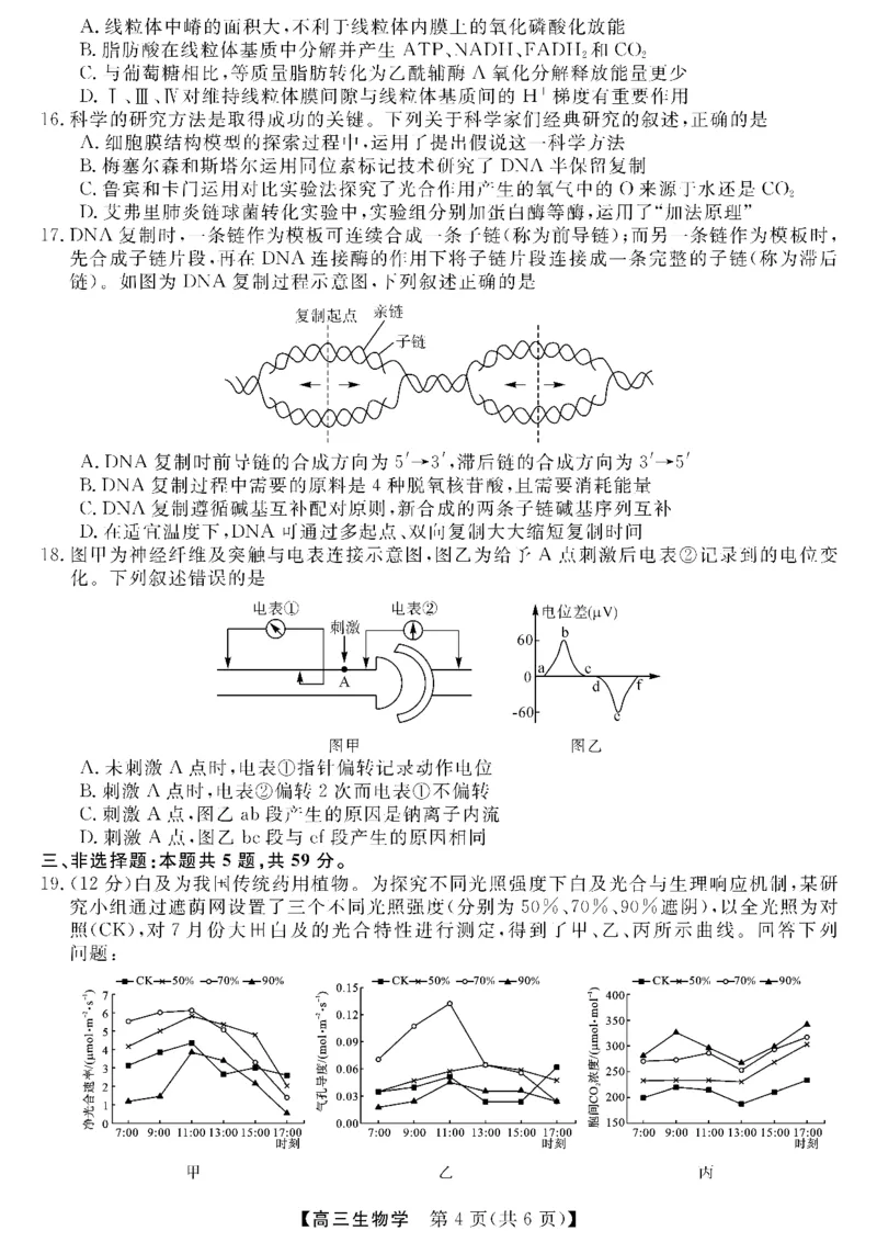 金科新未来11月18-19日高三联考-生物_2024-2025高三（6-6月题库）_2024年11月试卷_1121河南省金科新未来大联考2024-2025学年高三上学期11月质量检测