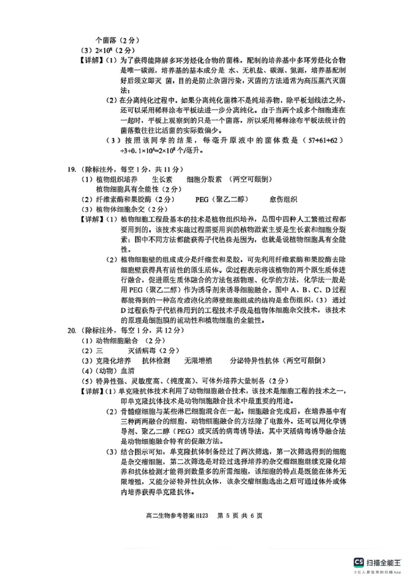 答案解析_2024-2025高二（7-7月题库）_2025年03月试卷_0331河南省驻马店市环际大联考2024-2025学年高二下学期阶段考试（一）