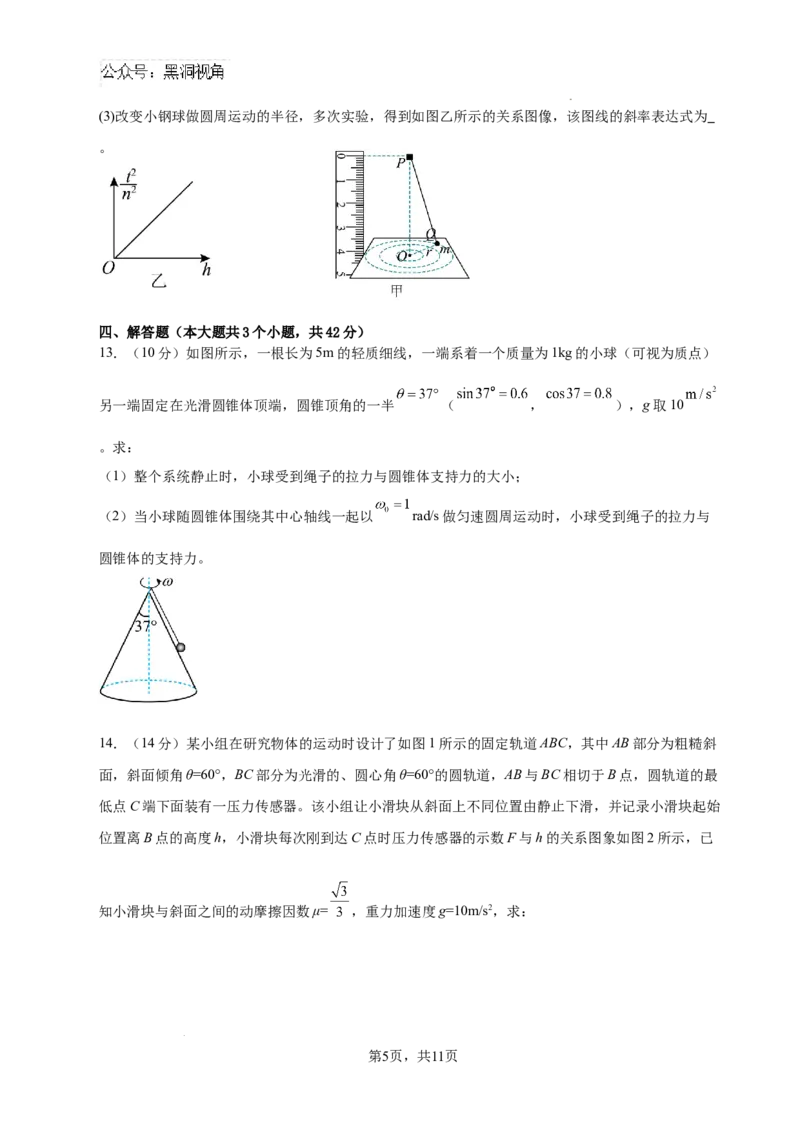 眉山市区县高中学校25届高三一诊模拟联考物理试卷_2024-2025高三（6-6月题库）_2024年12月试卷_1222四川省眉山市区县高中学校2024-2025学年高三上学期一诊模拟联考_物理