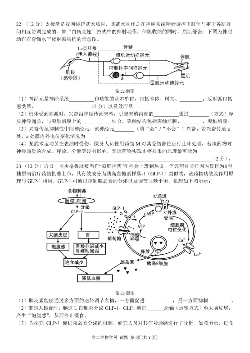 生物卷-2510高二精诚联盟_2025年10月高二试卷_251013浙江精诚联盟2025-2026学年高二上学期10月联考（全）_浙江精诚联盟2025-2026学年高二上学期10月联考生物试题