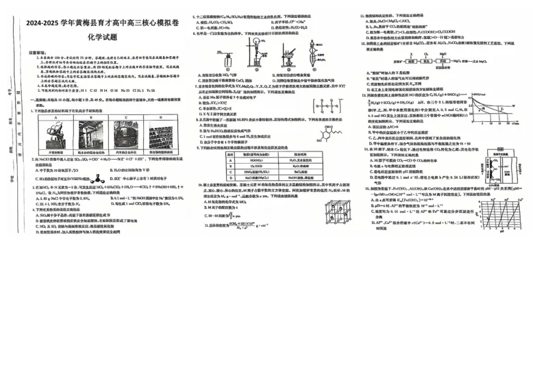 湖北省黄冈市黄梅县育才高级中学2024-2025学年高三核心模拟预测化学_2024-2025高三（6-6月题库）_2024年12月试卷_1231湖北省黄冈市黄梅县育才高级中学2024-2025学年高三核心模拟预测试题