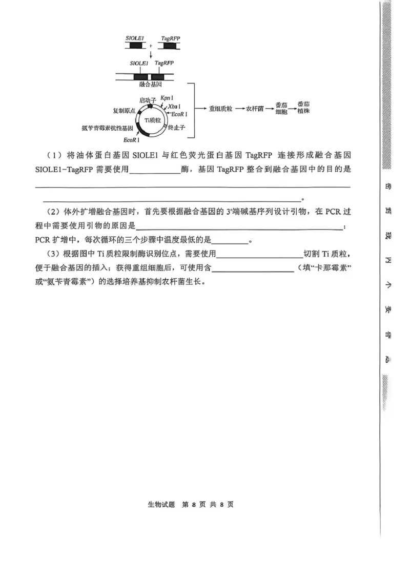 陕西省渭南市2026届高三上学期教学质量检测（Ⅰ）生物+答案_2024-2026高三（6-6月题库）_2026年01月高三试卷_0115陕西省渭南市2026届高三上学期教学质量检测（Ⅰ）（全）
